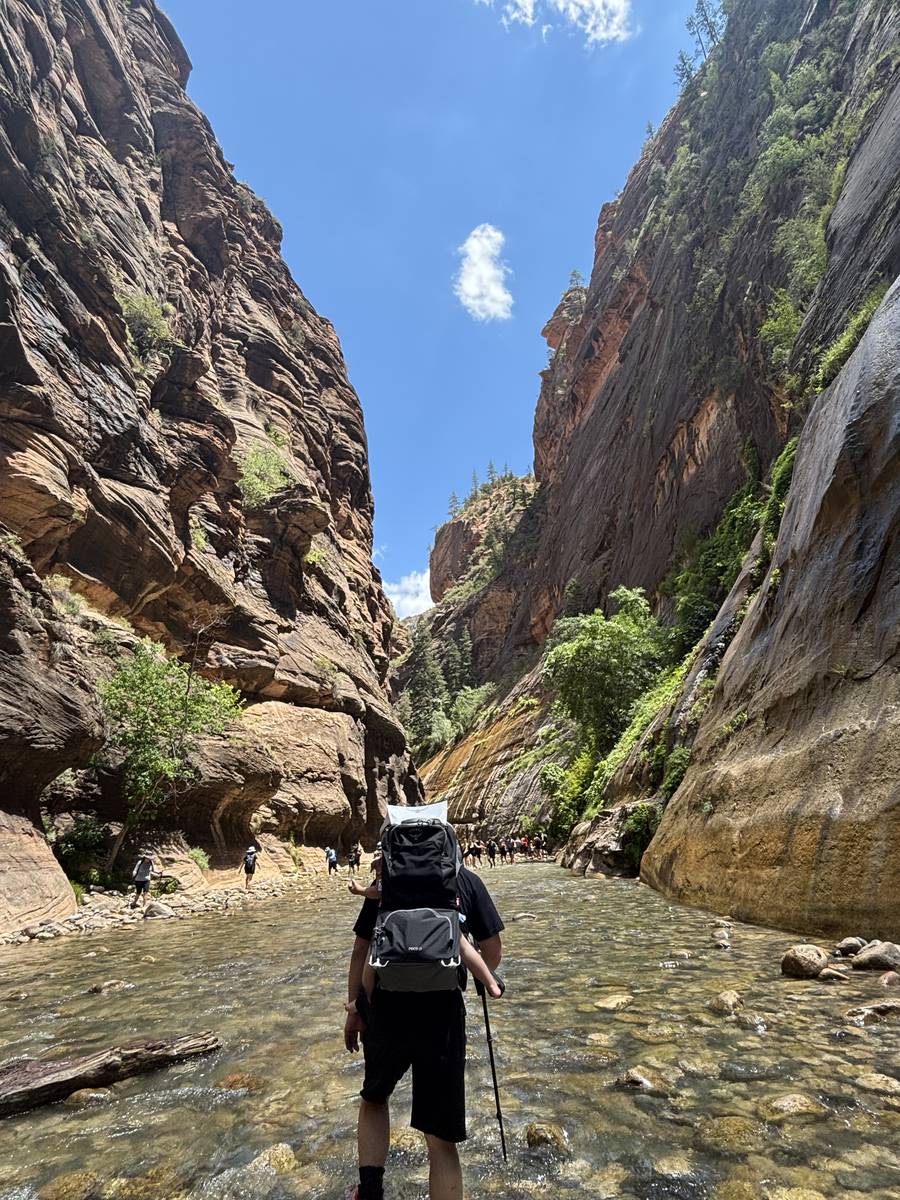 Wading up the river through The Narrows, Zion National Park