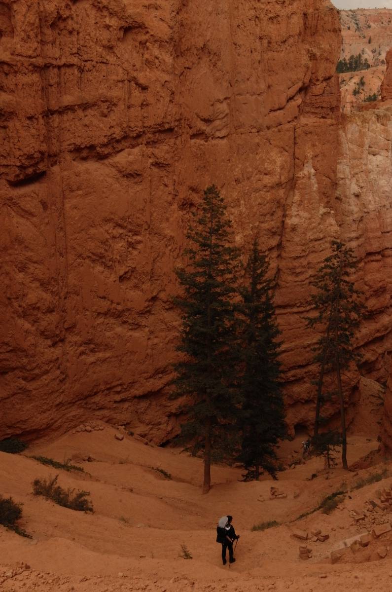 Among the red-rock hoodoos and pines of Bryce Canyon National Park